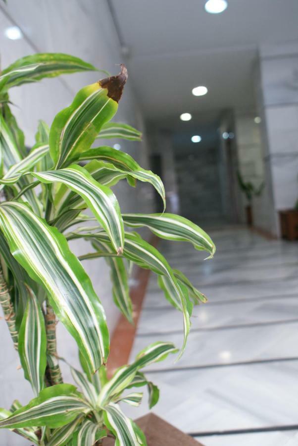 Calma Chicha Apartment Malaga Exterior photo